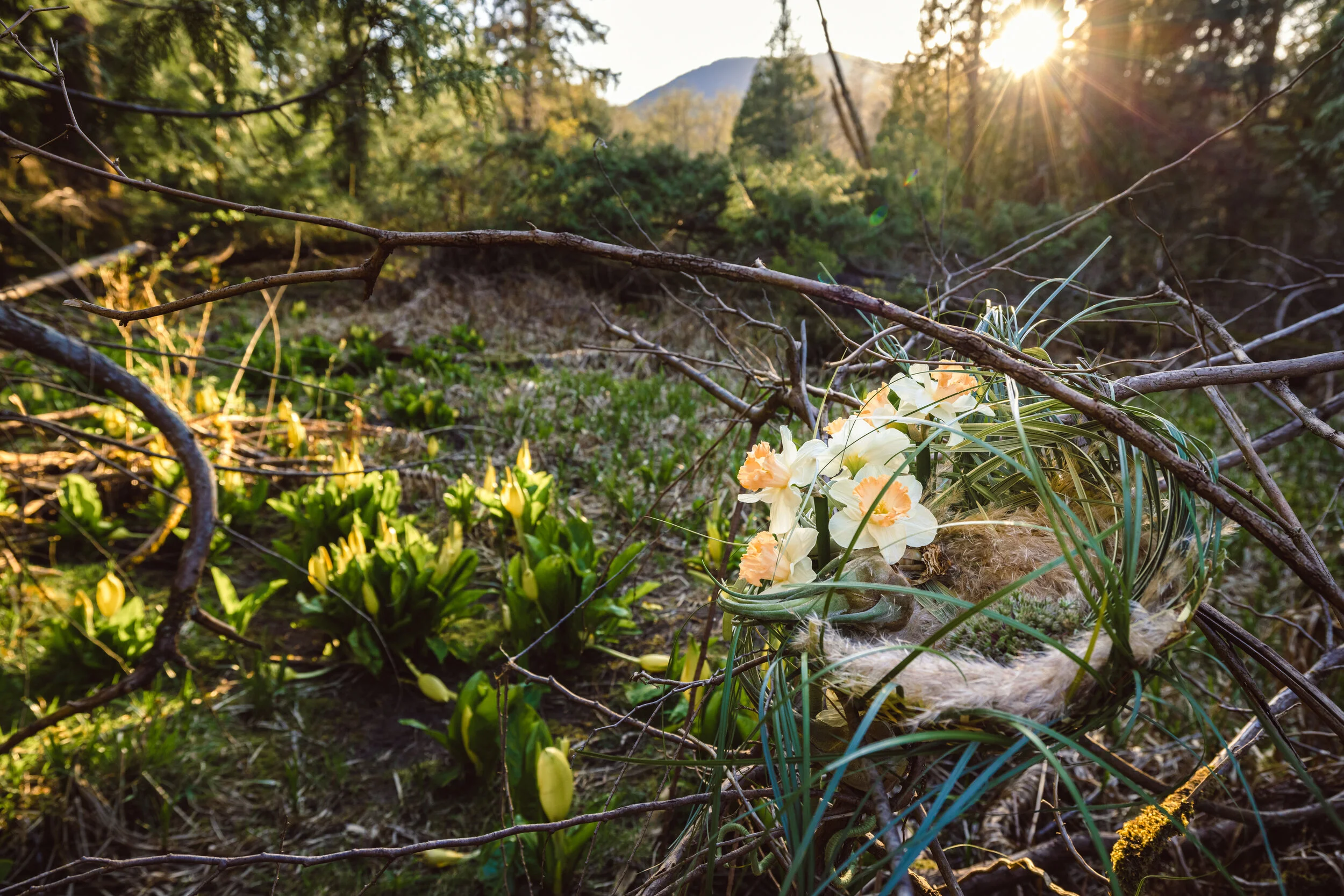 シーグラスアートhirokoponmno91Flowers will bloom Takashi Murakami: Maiko in Springtime Kyoto Screen Print